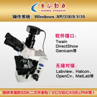 ȶWP-MS140M USB2.0΢΢ͷ140 ɫڰ׿ѡ