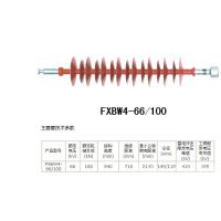 FXBW4-110/100ʽϾԵ