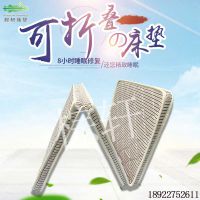 鵴棬ѧᴲ棬