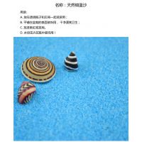 ӦӲȲɰ ɫ ذשòɰ