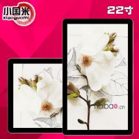 ֱ20ӹ ӹ Ƶû ý