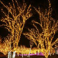 led彩燈閃燈圣誕燈串滿天星節(jié)日婚慶裝飾燈樹燈小彩燈戶外防水燈