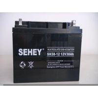 ʽǦSH50-12 12V50AHҵԴ