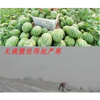 进口PEP利得无滴防老化防流滴长寿塑料薄膜