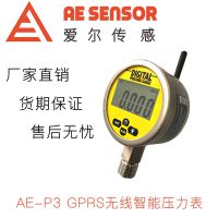爱尔传感AE-P GPRS无线智能数显压力表