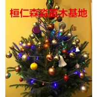 ɼʥ ɼ辰 ɼ ɼ۸ ɼС ʥ ʻʥ