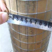 济南冷镀锌电焊网 粉墙抹灰网厂家 耐腐蚀使用寿命长