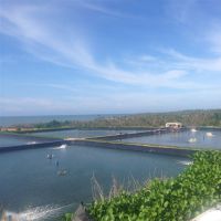供应hdpe鱼塘养殖防渗膜美标0.4mm优质鱼池防渗土工膜 厂家自产自销