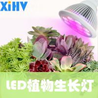 ֱ12W LEDֲ ⻨ԴϹ߲˲XIHV