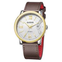 RAIDOX瑞度士手表 商務(wù)機械男表 新款R008047