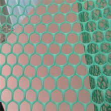 加厚养鱼网箱用塑料网 鱼苗水产养殖 养蜂 养蚕塑料平网