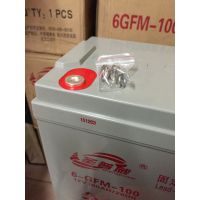 ʥ12VǦ6GFM-100մ