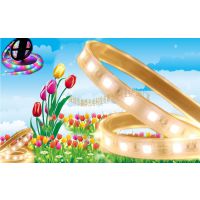 鑫烨灯带LED5050套管防水60灯一米DC12V厂家直供