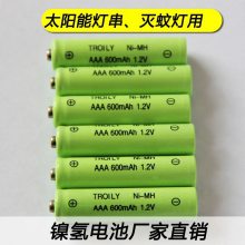 创力新能源TROILY牌AAA600镍氢电池，电动玩具电池