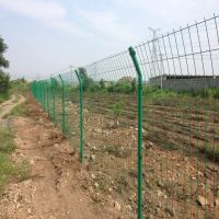 绿色圈地围网厂家 空地种植养殖防护钢丝网双边丝浸塑围栏