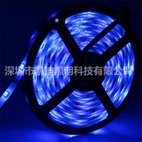 led3528ƴ240 12vѹ ֱ