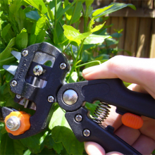 园艺小型嫁接机 多用型绑枝机 使用型嫁接机
