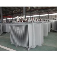 S11-M80KVA-10/0.4ͽʽѹ