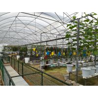 东莞兰天兴农无土栽培技术培训设计规划建造