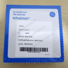 GE Whatman HGF61玻璃纤维纸带PM2.5/10专用1830-6236 1/PK
