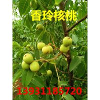 2021ֲʲôЧ----绨