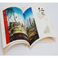 公司宣传画册印刷,广州海珠区公司宣传画册印刷工厂