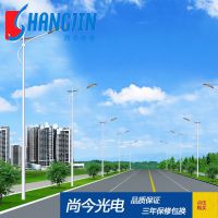 供应各式高质量单臂路灯道路照明灯 专业厂家直销生产优质单臂灯