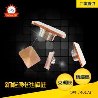 缫 Դ40173 í ͵缫ӹ