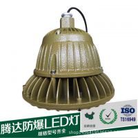 ֱLEDܵ /30W/40W/80W/CCD96ϵ