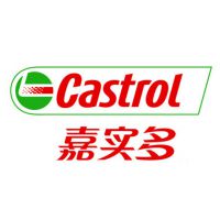 ʵCASTROL OPTIMOL LONGTIME PD 0 00 1 2֬