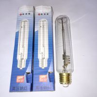 ˹ɭѹƵNG 100W E27/E40