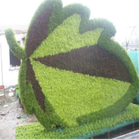 五色草绿雕 仿真动植物绿雕 立体花坛 可定制的绿雕