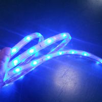 深圳厂家蓝恩光电直销 高压软灯带 220V/110V 桥梁景观照明亮化，室内室外