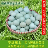 һ̻̺ڼֵ ̿ǵֵ ڼ