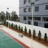 阳江体育场照明灯光厂家 篮球场灯杆批发 雅浩球场灯柱位置设计