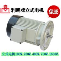 供应台湾利明减速机 LDVF 04-100-TJ 立式三相100W 200W 400W