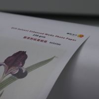 ֽܼ ĥɰ|Ч|ϸͿ㣨Ӱ񼶣