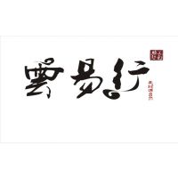 深圳市云易行科技有限公司