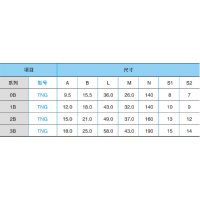Բ TNGֱʽͷ B-