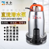 ֱ ΢͵綯ˮ 12v24vǱˮ ΢ͱóֱ