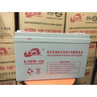 ʥ12VǦ6GFM-100մ