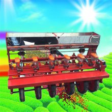 牧草苜蓿种子播种机 启航多功能好用的六行桔梗精播机 哪里有卖手推小粒蔬菜精播机