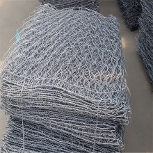 天门低碳不锈钢丝石笼网厂家 隔离鸡鸭舍规格 河道山坡防护用网一诺价格