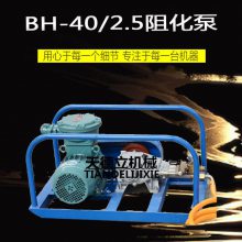 天德立BH40/2.5矿用阻化泵厂家直销 矿用小型轻便阻化剂喷射泵