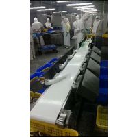 凯旭批发fx-6全自动地黄分级机器 鱿鱼分拣机