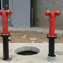 厂家直销青海地上式消防水泵接合器 SQS100-1.6 SQS150-1.6