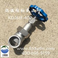  LNGֹ̲ DJ61F-40P ʽҺȻ