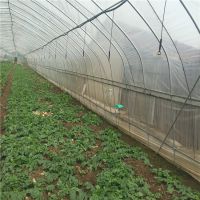 մֹܳ,5׿,6׿,7׿,8׿,9׿,10׿,11׿