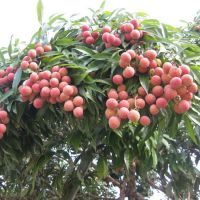 ޺֦ Կɵ 13457775554 ޽統 ***