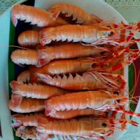 威海海龙虾进货 冰鲜海龙虾价格